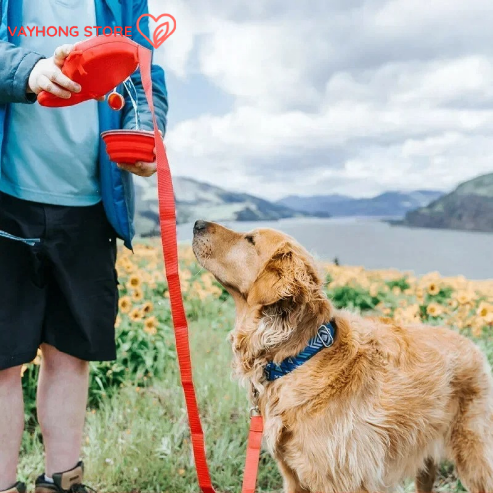 PawMate™ 5-in-1 Dog Leash – Built-In Water Bottle, Bowl & Waste Dispenser for Total Outdoor Convenience